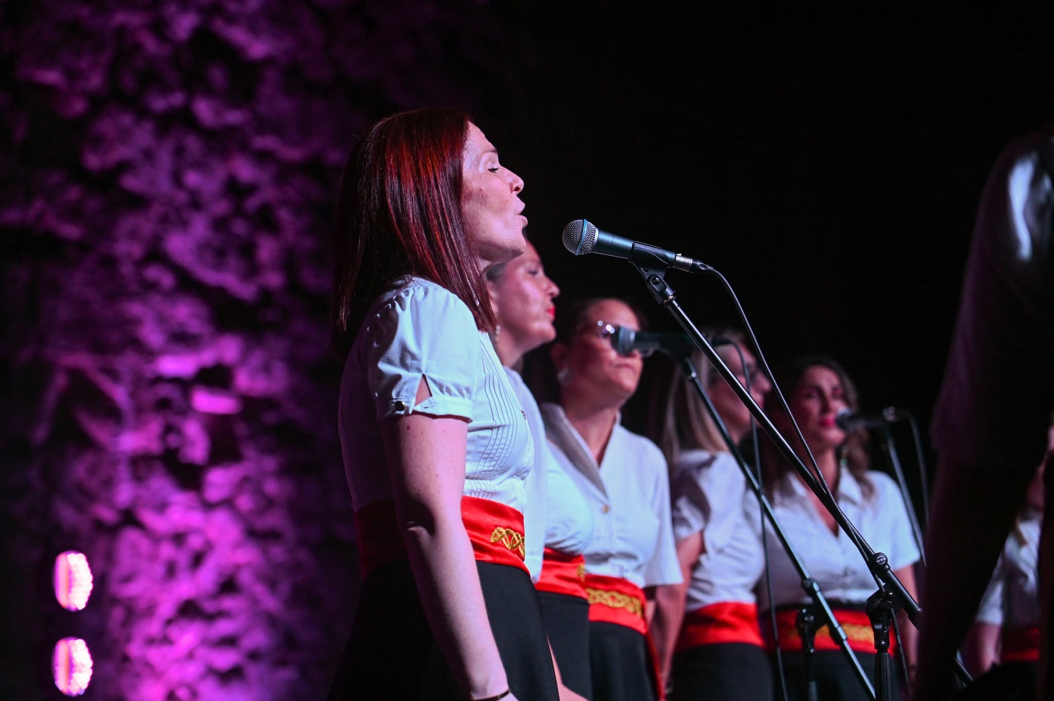 Održan je tradicionalni donatorski koncert „Klape pivaju, a pisma liči“